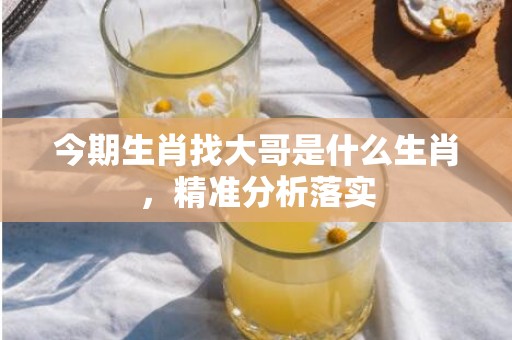 今期生肖找大哥是什么生肖，精准分析落实