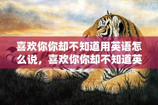 喜欢你你却不知道用英语怎么说，喜欢你你却不知道英语