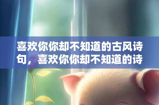 喜欢你你却不知道的古风诗句，喜欢你你却不知道的诗句