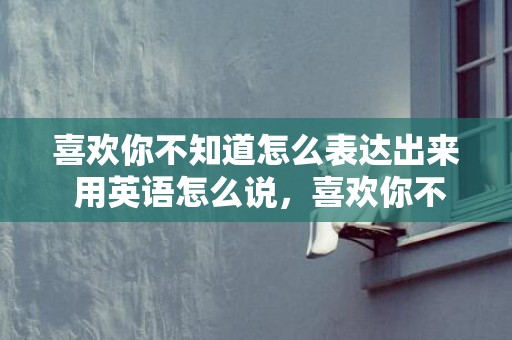 喜欢你不知道怎么表达出来 用英语怎么说，喜欢你不知道怎么说出口