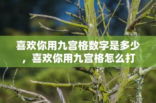 喜欢你用九宫格数字是多少，喜欢你用九宫格怎么打