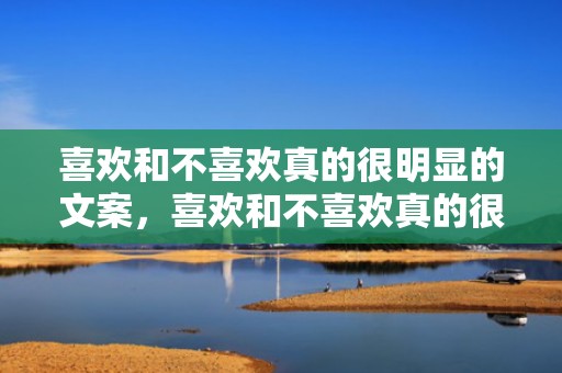 喜欢和不喜欢真的很明显的文案，喜欢和不喜欢真的很明显