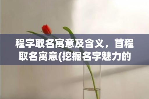 程字取名寓意及含义，首程取名寓意(挖掘名字魅力的首程 宝宝起名技巧、成功案例及口碑分享！)