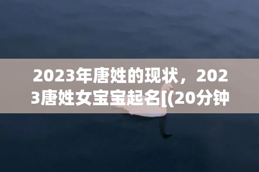 2023年唐姓的现状，2023唐姓女宝宝起名[(20分钟前已更新2023)]