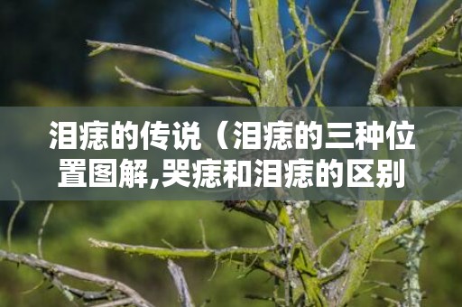 泪痣的传说（泪痣的三种位置图解,哭痣和泪痣的区别）