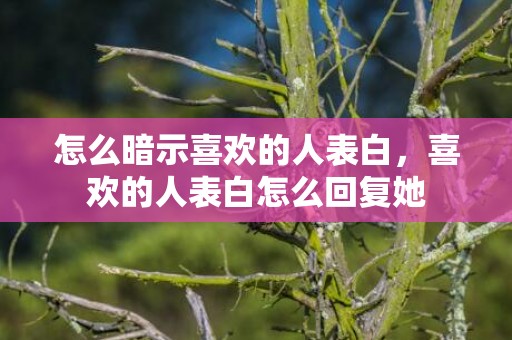 怎么暗示喜欢的人表白，喜欢的人表白怎么回复她