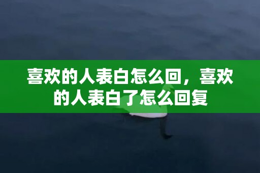 喜欢的人表白怎么回，喜欢的人表白了怎么回复