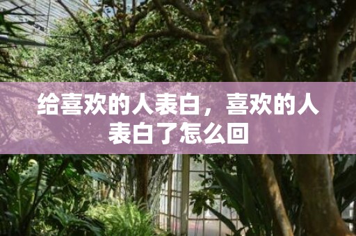 给喜欢的人表白，喜欢的人表白了怎么回