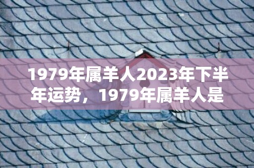 1979年属羊人2023年下半年运势，1979年属羊人是什么命 今年属羊人财运运势