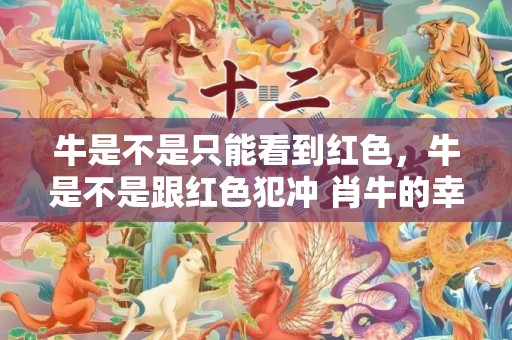牛是不是只能看到红色，牛是不是跟红色犯冲 肖牛的幸运色是什么