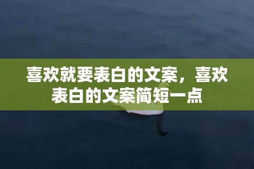 喜欢就要表白的文案，喜欢表白的文案简短一点