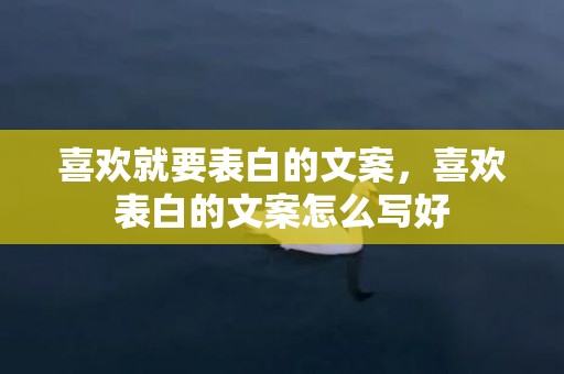 喜欢就要表白的文案，喜欢表白的文案怎么写好