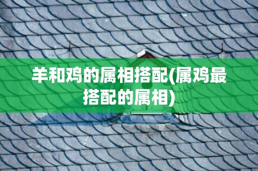羊和鸡的属相搭配(属鸡最搭配的属相)