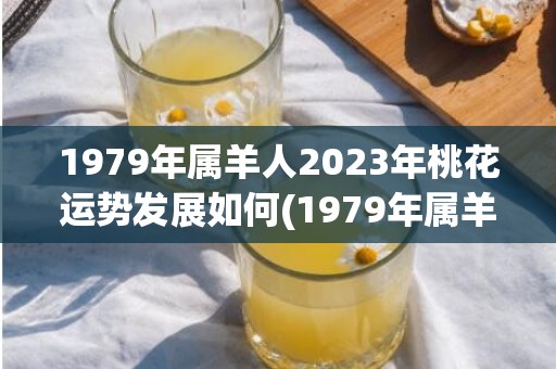 1979年属羊人2023年桃花运势发展如何(1979年属羊人2023年财运)