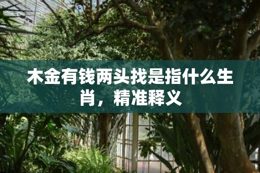 木金有钱两头找是指什么生肖，精准释义