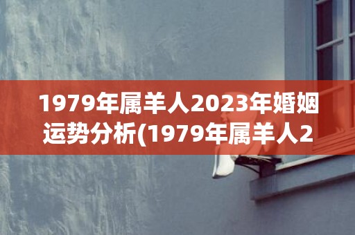 1979年属羊人2023年婚姻运势分析(1979年属羊人2023年下半年运势)