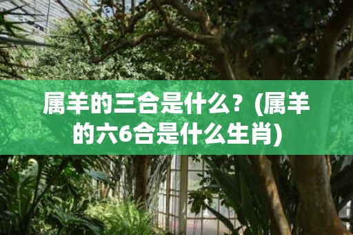 属羊的三合是什么？(属羊的六6合是什么生肖)