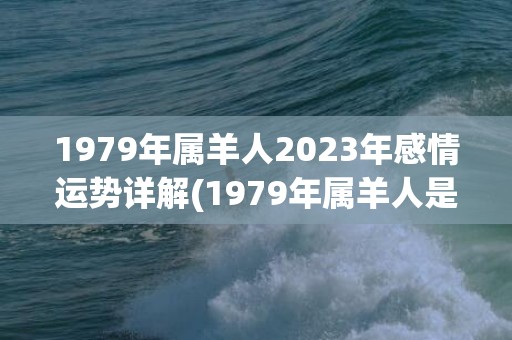 1979年属羊人2023年感情运势详解(1979年属羊人是什么命)
