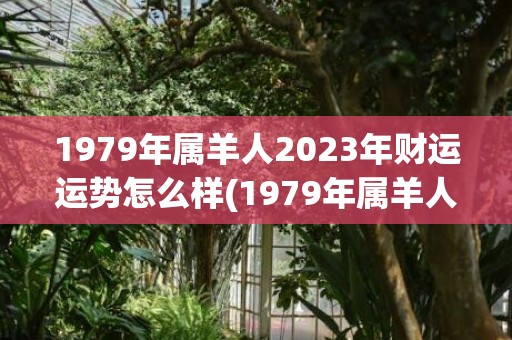 1979年属羊人2023年财运运势怎么样(1979年属羊人2023年运势及运程女)
