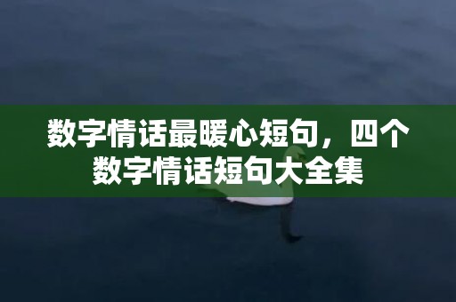 数字情话最暖心短句，四个数字情话短句大全集