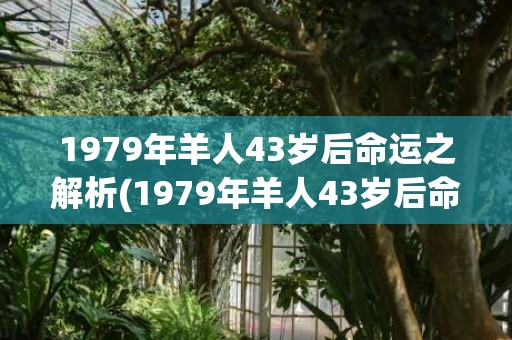 1979年羊人43岁后命运之解析(1979年羊人43岁后命运财运女)