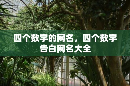 四个数字的网名，四个数字告白网名大全
