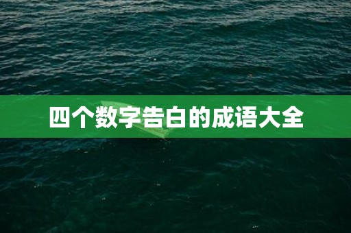 四个数字告白的成语大全