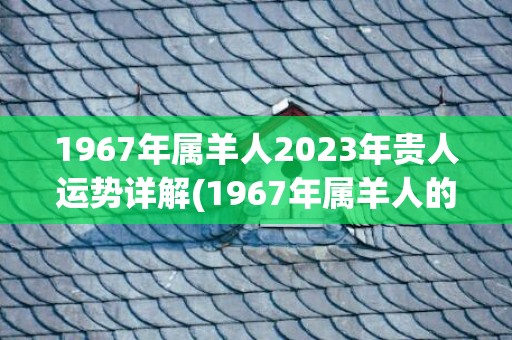 1967年属羊人2023年贵人运势详解(1967年属羊人的终身寿命)