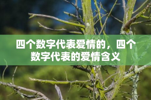 四个数字代表爱情的，四个数字代表的爱情含义