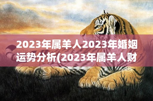 2023年属羊人2023年婚姻运势分析(2023年属羊人财运)