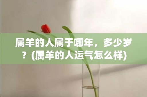 属羊的人属于哪年，多少岁？(属羊的人运气怎么样)
