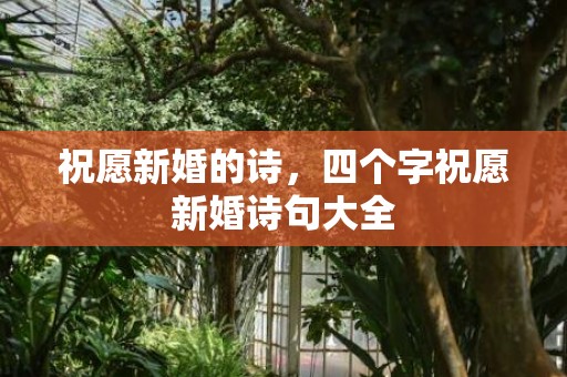 祝愿新婚的诗，四个字祝愿新婚诗句大全
