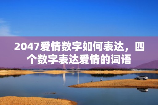 2047爱情数字如何表达，四个数字表达爱情的词语