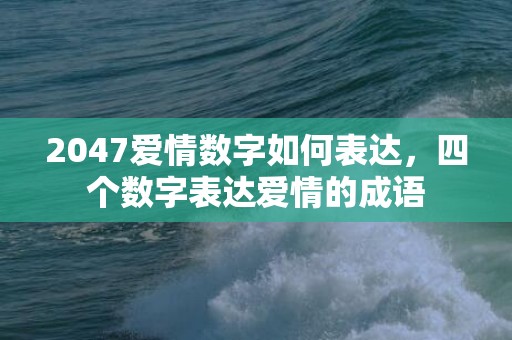 2047爱情数字如何表达，四个数字表达爱情的成语