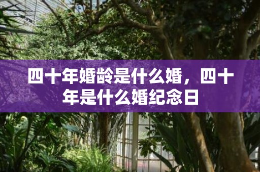 四十年婚龄是什么婚，四十年是什么婚纪念日
