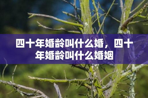 四十年婚龄叫什么婚，四十年婚龄叫什么婚姻