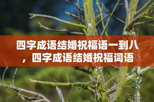 四字成语结婚祝福语一到八，四字成语结婚祝福词语