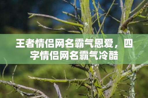 王者情侣网名霸气恩爱，四字情侣网名霸气冷酷