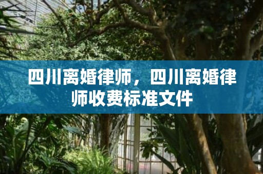 四川离婚律师，四川离婚律师收费标准文件