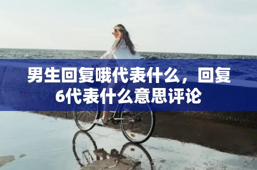 男生回复哦代表什么，回复6代表什么意思评论