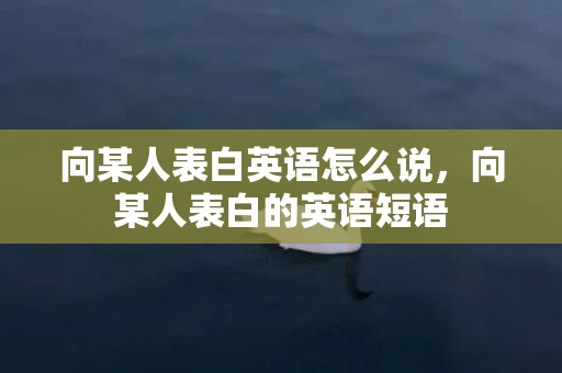 向某人表白英语怎么说，向某人表白的英语短语