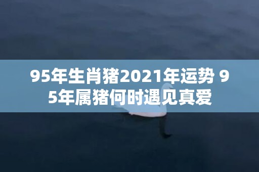 95年生肖猪2021年运势 95年属猪何时遇见真爱