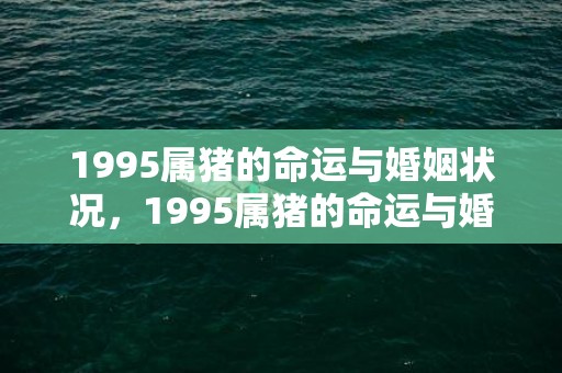 1995属猪的命运与婚姻状况，1995属猪的命运与婚姻 属猪之人最为匹配属相