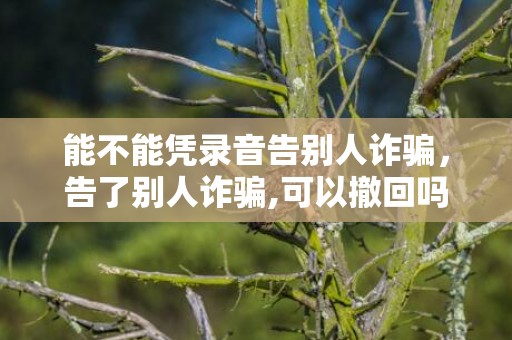 能不能凭录音告别人诈骗，告了别人诈骗,可以撤回吗
