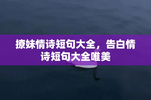 撩妹情诗短句大全，告白情诗短句大全唯美