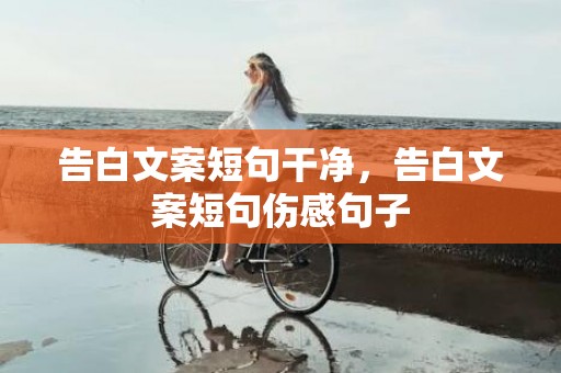 告白文案短句干净，告白文案短句伤感句子