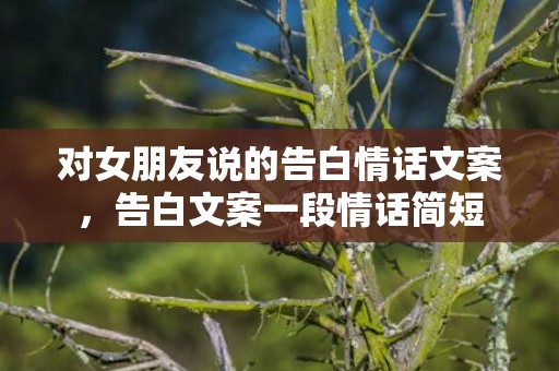 对女朋友说的告白情话文案，告白文案一段情话简短
