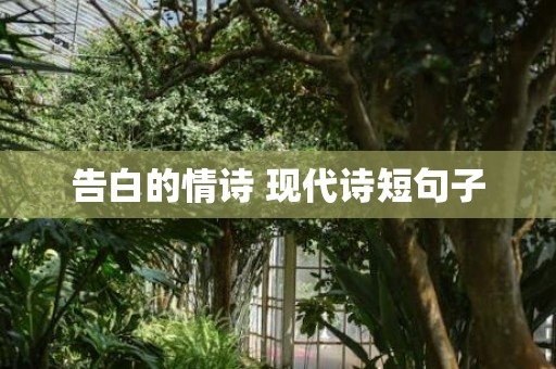 告白的情诗 现代诗短句子