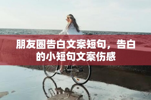 朋友圈告白文案短句，告白的小短句文案伤感