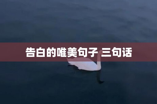 告白的唯美句子 三句话